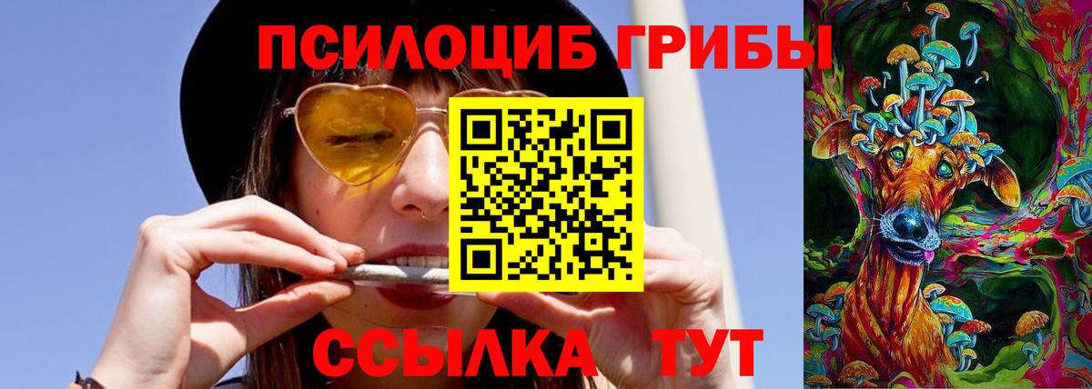 Псилоцибиновые грибы Magic Shrooms Малгобек